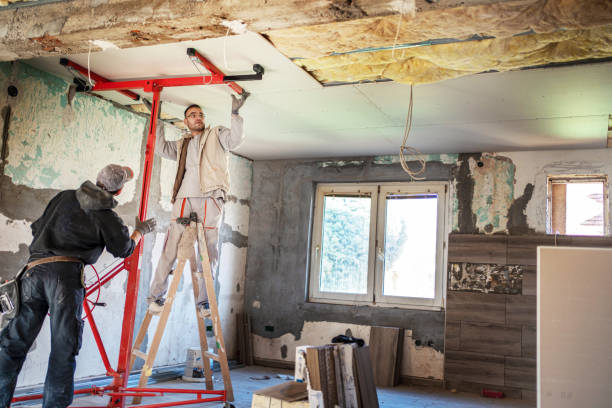 Best Geographic-Specific Insulation Services in Saline, MI