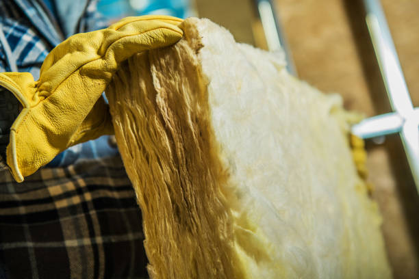 Best Insulation Maintenance and Repair in Saline, MI