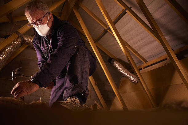 Best Energy Efficiency Insulation in Saline, MI
